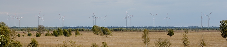 Overheden